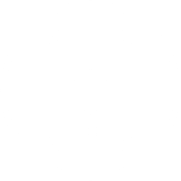 Connectivity 