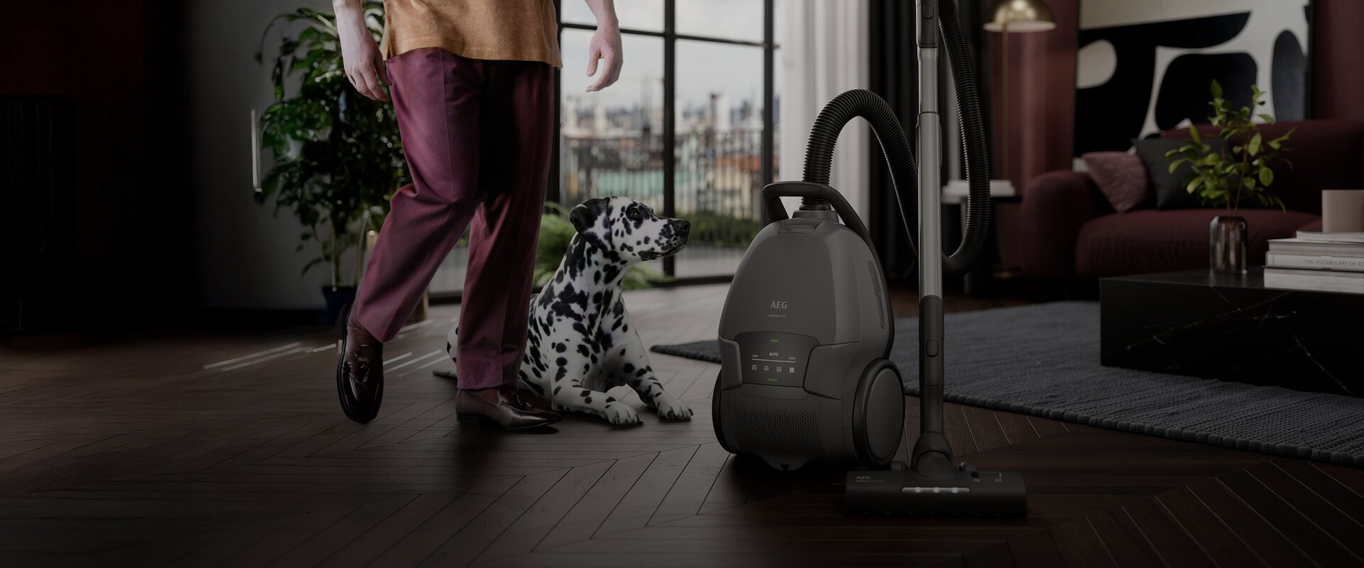 AEG-støvsuger på et parkettgulv i en stue, med en dalmatiner i bakgrunnen.