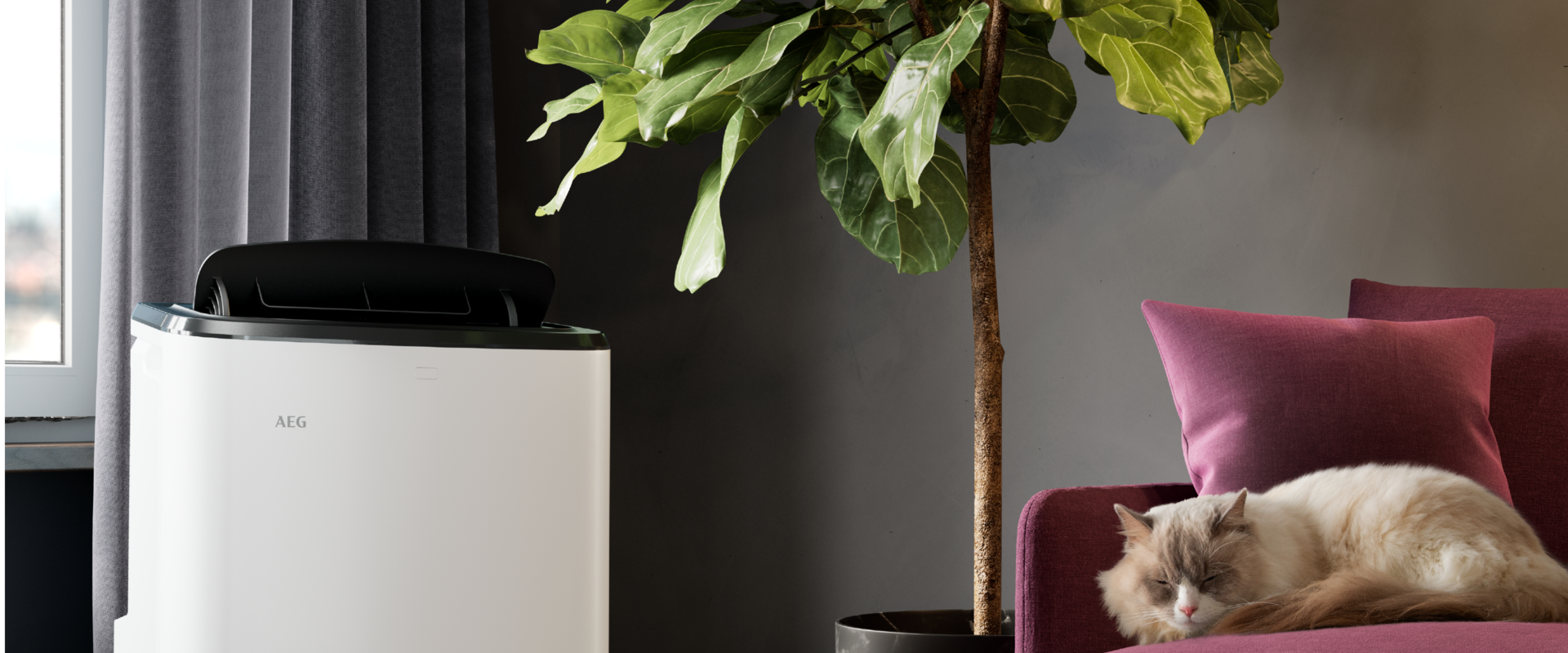 En flyttbar aircondition fra AEG står ved siden av en plante i en stue.