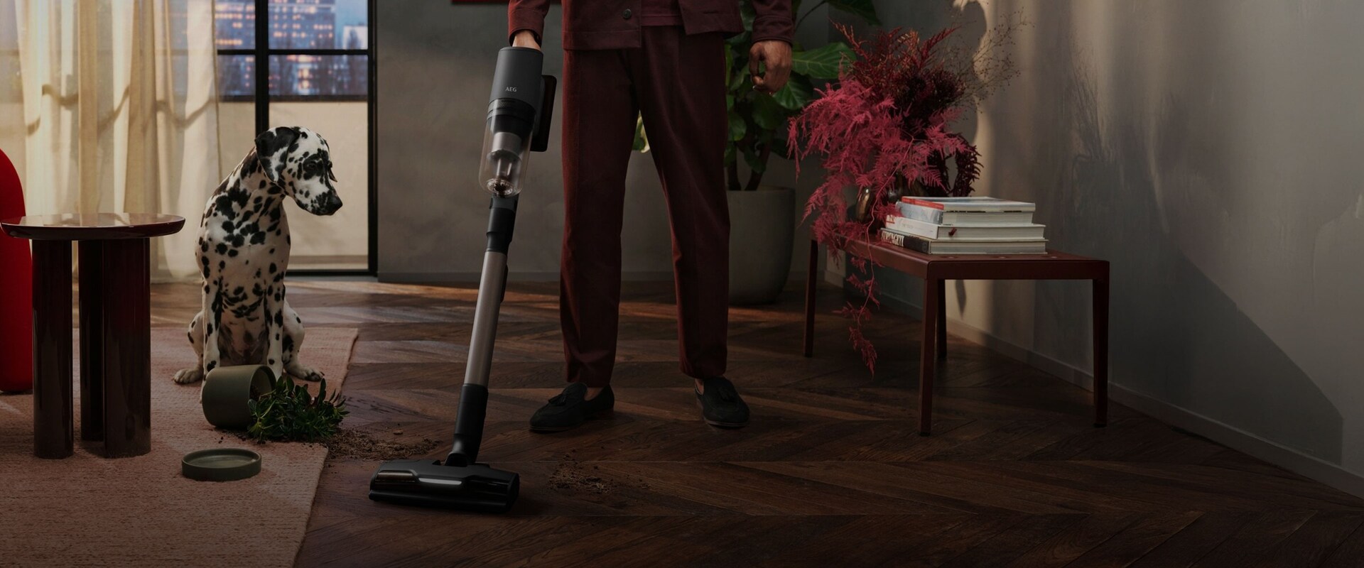 En trådløs støvsuger fra AEG brukes til å støvsuge opp jord fra en plante som har veltet i et hjem. Det er en hund i bakgrunnen.